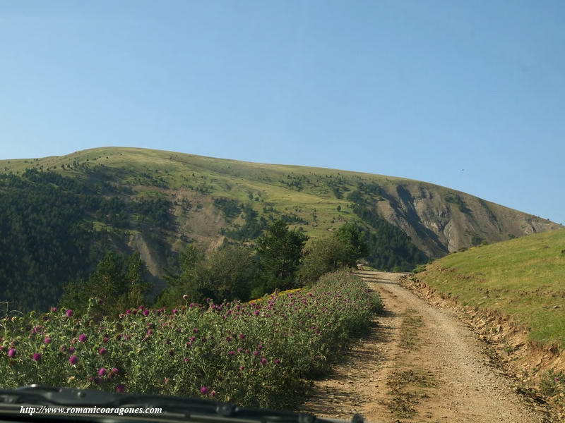 PISTA DE ACCESO